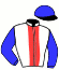 casaque portée par Pasquier S. jockey du cheval de course LAUNCESTON PLACE, information pmu ZETURF