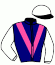 casaque portée par Roussel Ale. jockey du cheval de course CHERNABOG, information pmu ZETURF