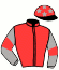 casaque portée par Guillochon J. jockey du cheval de course LAS DES BOIS, information pmu ZETURF