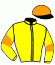 casaque portée par Mace T. jockey du cheval de course SPORT COUPE, information pmu ZETURF