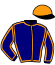 casaque portée par Guyon M. jockey du cheval de course ETERNAL GOLD, information pmu ZETURF