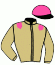 casaque portée par Lecoeuvre C. jockey du cheval de course LAGOA SANTA, information pmu ZETURF