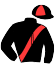 casaque portée par Levey S. jockey du cheval de course ARISTIA, information pmu ZETURF