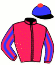 casaque portée par Valle Skar Mlle F. jockey du cheval de course HEGRINA, information pmu ZETURF
