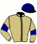 casaque portée par Doyle Mlle Hol. jockey du cheval de course TEMPUS, information pmu ZETURF