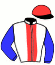 casaque portée par Boisseau L. jockey du cheval de course DOWNEVA, information pmu ZETURF