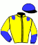 casaque portée par De Blende Mme L. jockey du cheval de course KIND OF MAGIC, information pmu ZETURF