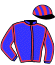 casaque portée par Pouchin A. jockey du cheval de course BEAUTIFUL ASPEN, information pmu ZETURF