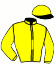 casaque portée par Mangione R. jockey du cheval de course MERCURISSIME, information pmu ZETURF