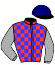 casaque portée par Bojko J. jockey du cheval de course WHAT A DUDE, information pmu ZETURF