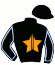 casaque portée par Trullier T. jockey du cheval de course DENHAM BLACK, information pmu ZETURF