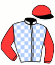 casaque portée par Boutin Hug. jockey du cheval de course AHMED PRIDE, information pmu ZETURF