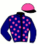casaque portée par Hardouin E. jockey du cheval de course WOODWIND DAVIS, information pmu ZETURF casaque portée par Hardouin E. jockey du cheval de course WOODWIND DAVIS, information pmu ZETURF
