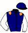 casaque portée par Hardouin E. jockey du cheval de course ANCTOT, information pmu ZETURF casaque portée par Hardouin E. jockey du cheval de course ANCTOT, information pmu ZETURF