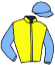 casaque portée par Berto M. jockey du cheval de course FAVORY CHOP, information pmu ZETURF casaque portée par Berto M. jockey du cheval de course FAVORY CHOP, information pmu ZETURF