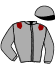 casaque portée par Massin Mlle A. jockey du cheval de course GABIJA, information pmu ZETURF casaque portée par Massin Mlle A. jockey du cheval de course GABIJA, information pmu ZETURF