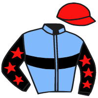 casaque portée par Boisseau L. jockey du cheval de course DJENNE, information pmu ZETURF casaque portée par Boisseau L. jockey du cheval de course DJENNE, information pmu ZETURF