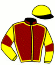 casaque portée par Doyle Mme Hol. jockey du cheval de course GREAT GENERATION, information pmu ZETURF