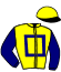 casaque portée par Bachelot T. jockey du cheval de course LEJENDARIO, information pmu ZETURF