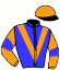 casaque portée par Boisseau L. jockey du cheval de course LE ROCKEUR, information pmu ZETURF casaque portée par Boisseau L. jockey du cheval de course LE ROCKEUR, information pmu ZETURF