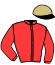 casaque portée par Boutin Hug. jockey du cheval de course MARLOWE, information pmu ZETURF casaque portée par Boutin Hug. jockey du cheval de course MARLOWE, information pmu ZETURF