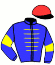 casaque portée par Besnier H. jockey du cheval de course ZEROSTRESS, information pmu ZETURF casaque portée par Besnier H. jockey du cheval de course ZEROSTRESS, information pmu ZETURF
