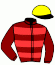 casaque portée par Doyle Mme Hol. jockey du cheval de course PERSIAN JEWEL, information pmu ZETURF