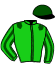 casaque portée par Boisseau L. jockey du cheval de course REMINISCE, information pmu ZETURF