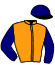 casaque portée par Thomas Ron. jockey du cheval de course ALMARA, information pmu ZETURF casaque portée par Thomas Ron. jockey du cheval de course ALMARA, information pmu ZETURF