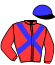 casaque portée par Guyon M. jockey du cheval de course CYNIC, information pmu ZETURF casaque portée par Guyon M. jockey du cheval de course CYNIC, information pmu ZETURF