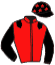 casaque portée par Lebouc Hug. jockey du cheval de course EFFIRA, information pmu ZETURF casaque portée par Lebouc Hug. jockey du cheval de course EFFIRA, information pmu ZETURF