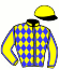 casaque portée par Seignoux Mme Ama. jockey du cheval de course PLENTY CITY, information pmu ZETURF