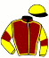 casaque portée par Demuro C. jockey du cheval de course GREAT GENERATION, information pmu ZETURF casaque portée par Demuro C. jockey du cheval de course GREAT GENERATION, information pmu ZETURF