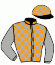casaque portée par Lecoeuvre C. jockey du cheval de course ELAUNEIL, information pmu ZETURF casaque portée par Lecoeuvre C. jockey du cheval de course ELAUNEIL, information pmu ZETURF
