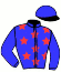 casaque portée par Madamet A. jockey du cheval de course ROSADORA, information pmu ZETURF casaque portée par Madamet A. jockey du cheval de course ROSADORA, information pmu ZETURF