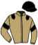 casaque portée par Claudic J. jockey du cheval de course FARAHNAZ, information pmu ZETURF casaque portée par Claudic J. jockey du cheval de course FARAHNAZ, information pmu ZETURF