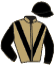 casaque portée par Lemaitre A. jockey du cheval de course RUCHBAH, information pmu ZETURF casaque portée par Lemaitre A. jockey du cheval de course RUCHBAH, information pmu ZETURF