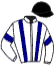 casaque portée par Lecoeuvre C. jockey du cheval de course BAHAYRA, information pmu ZETURF casaque portée par Lecoeuvre C. jockey du cheval de course BAHAYRA, information pmu ZETURF