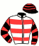 casaque portée par Boisseau L. jockey du cheval de course SWEET DIANA, information pmu ZETURF casaque portée par Boisseau L. jockey du cheval de course SWEET DIANA, information pmu ZETURF