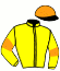casaque portée par Guyon M. jockey du cheval de course SPORT COUPE, information pmu ZETURF casaque portée par Guyon M. jockey du cheval de course SPORT COUPE, information pmu ZETURF