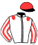 casaque portée par Baudet N. jockey du cheval de course MEHANYDREAM, information pmu ZETURF casaque portée par Baudet N. jockey du cheval de course MEHANYDREAM, information pmu ZETURF