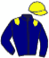 casaque portée par Nomis L. jockey du cheval de course VICTORIA SQUARE, information pmu ZETURF