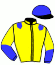 casaque portée par Marien J. jockey du cheval de course MADDOX, information pmu ZETURF