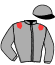 casaque portée par Pacaut Mme Cor. jockey du cheval de course SAFWAN, information pmu ZETURF casaque portée par Pacaut Mme Cor. jockey du cheval de course SAFWAN, information pmu ZETURF