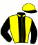 casaque portée par Pouchin A. jockey du cheval de course WALDADLER, information pmu ZETURF casaque portée par Pouchin A. jockey du cheval de course WALDADLER, information pmu ZETURF