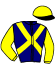 casaque portée par D' Andigne O. jockey du cheval de course KALEO CAESAR, information pmu ZETURF casaque portée par D' Andigne O. jockey du cheval de course KALEO CAESAR, information pmu ZETURF