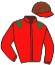 casaque portée par Tison Mlle S. jockey du cheval de course MIA WAVE, information pmu ZETURF casaque portée par Tison Mlle S. jockey du cheval de course MIA WAVE, information pmu ZETURF