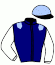 casaque portée par Delalande M. jockey du cheval de course KENNY, information pmu ZETURF casaque portée par Delalande M. jockey du cheval de course KENNY, information pmu ZETURF