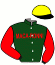 casaque portée par Lecoeuvre C. jockey du cheval de course ALABAMA MOON, information pmu ZETURF casaque portée par Lecoeuvre C. jockey du cheval de course ALABAMA MOON, information pmu ZETURF