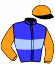 casaque portée par Mendizabal I. jockey du cheval de course GRAND LEON, information pmu ZETURF casaque portée par Mendizabal I. jockey du cheval de course GRAND LEON, information pmu ZETURF